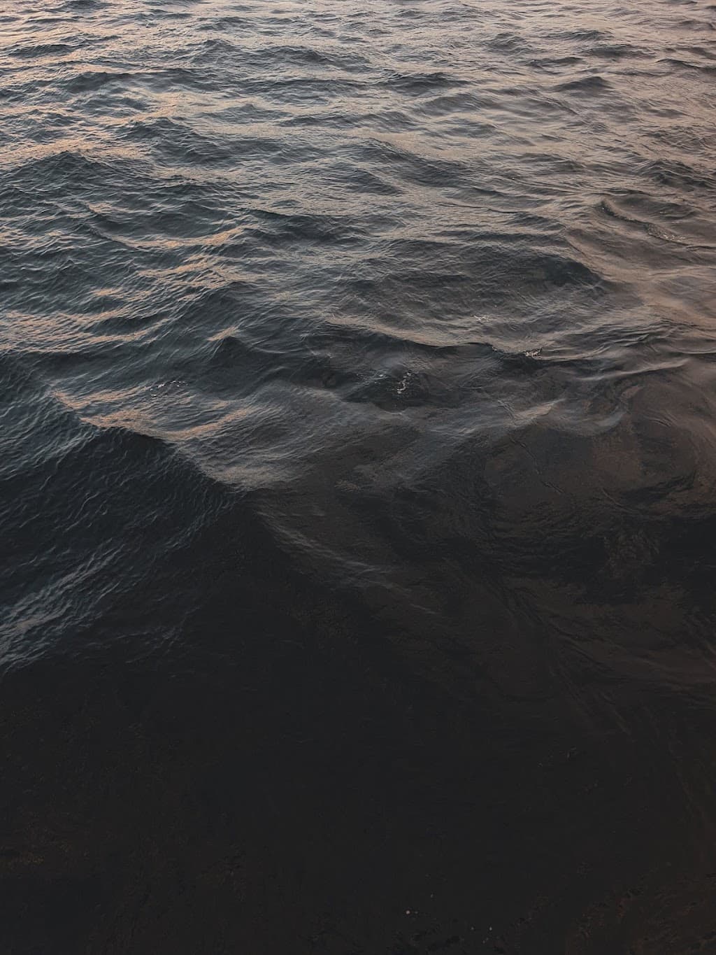 Alluvium Water Cremations