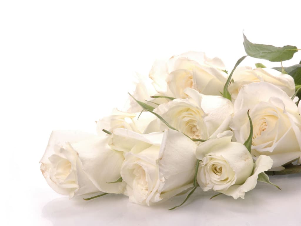 Phillip Stephens Funerals