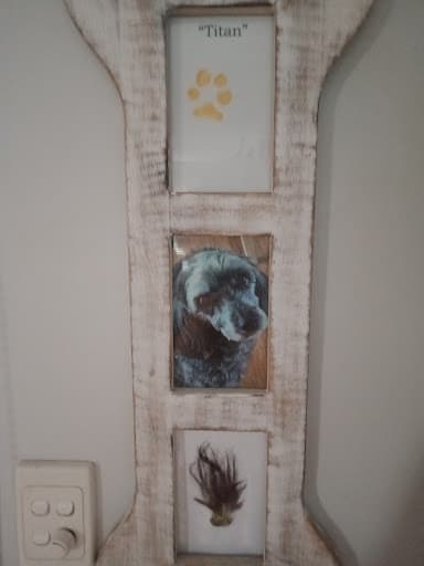 Pets R.I.P | Pet Cremations Toowoomba — Customer photo
