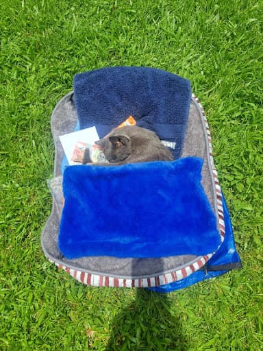 Possum Ridge Pet Cremations — Customer photo