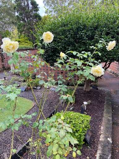 Northern Suburbs Memorial Gardens and Crematorium — Customer photo