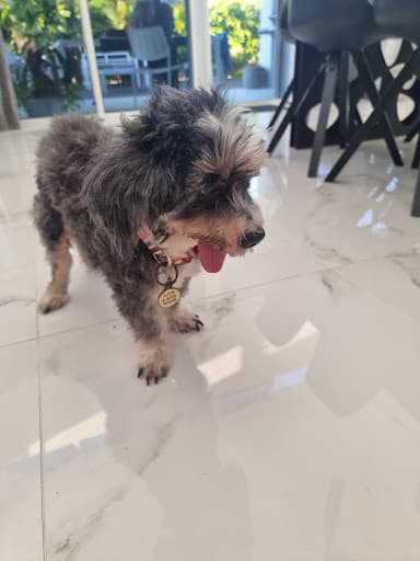 Possum Ridge Pet Cremations — Customer photo