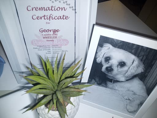 Possum Ridge Pet Cremations — Customer photo