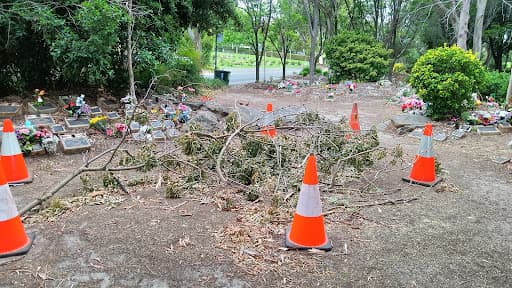 Enfield Memorial Park — Customer photo