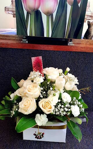 Newhaven Funerals Brisbane - Stapylton — Customer photo