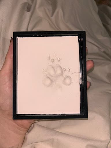 Cremation for Pets — Customer photo