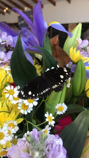 Newhaven Funerals Gold Coast - Burleigh Heads — Customer photo