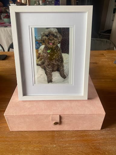 Pets At Rest Pet Crematorium — Customer photo