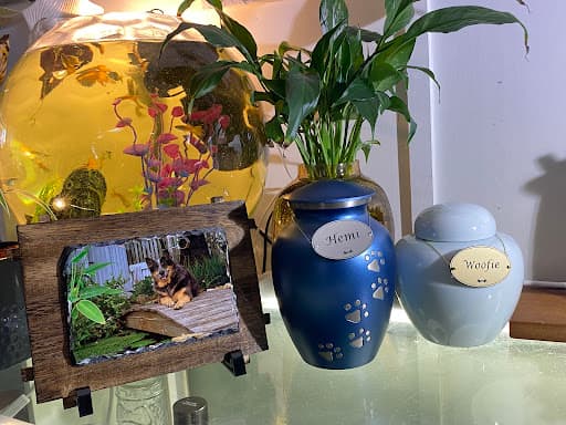 Forever Ours Pet Crematorium — Customer photo