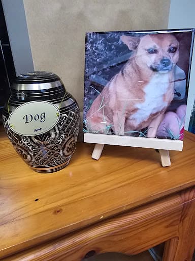 Forever Ours Pet Crematorium — Customer photo